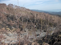 rra delle Concazze-201100508 020